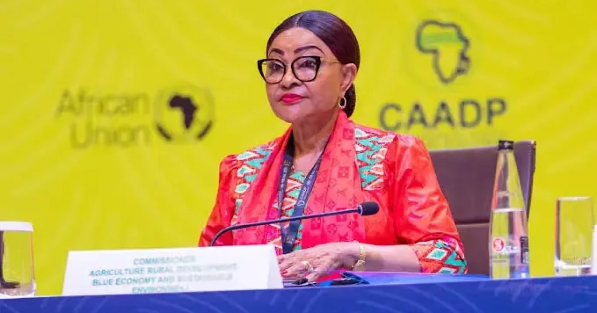 Angola/Governo apresenta candidatura de Josefa Sacko à direcção-geral da FAO