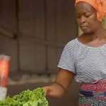 Togo/Trinta e cinco municípios recebem financiamento para seus projectos de desenvolvimento