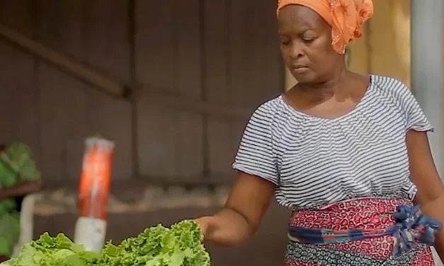 Togo/Trinta e cinco municípios recebem financiamento para seus projectos de desenvolvimento