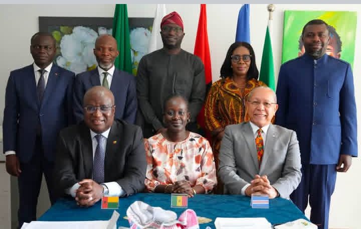 Diplomacia / Embaixador da Guiné-Bissau no Brasil transfere presidência rotativa do Grupo de Embaixadores da CEDEAO para Senegal